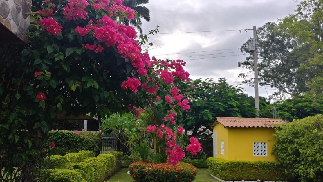 Casa De Los Suenos B&B Coronado Panama Playa Coronado Esterno foto